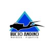 BUCEO ANDINO