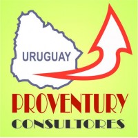 PROVENTURY CONSULTORES