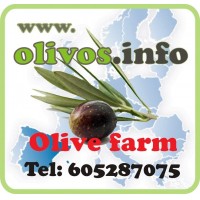 OLIVOS ANDALUCA