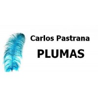 Plumas para maquillaje artistico/peluqueria