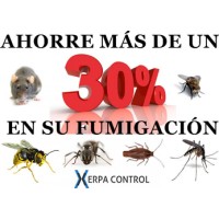 xerpacontrol fumigaciones en lorca aguilas