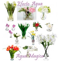 AGUA SOLIDA PAR MONTAJES DE FLORES - ArticoEnCasa.com