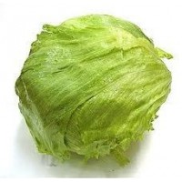 LECHUGA 