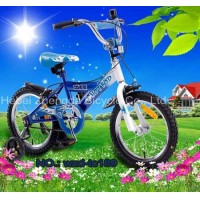 BICICLETA INFANTIL    WZD-TC189