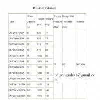 Specification Tipo 1 Cilindros para GNC 