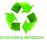 PET Reciclado en escamas