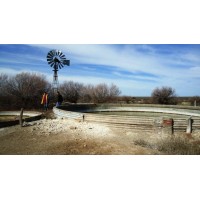 Campo de 10.033 ha. en venta en Villalonga, Provincia de Buenos Aires | 10146