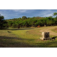 CAMPOS DE SAN NICOLAS | 2295