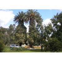 Campo de 234 ha en venta en General Las Heras, Prov. de Buenos Aires | 10220