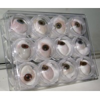 Prtesis Oculares