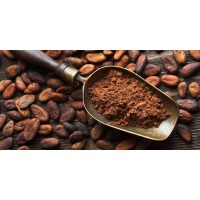 CACAO EN GRANO