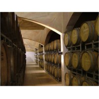 Somos importante BODEGA Y VIEDOS productores y exportadores de Vinos genricos, de alta gama y premium