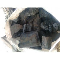 Carbon Vegetal