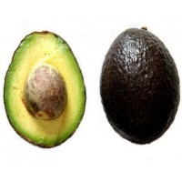 PALTA HASS