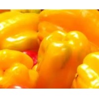 PIMIENTO AMARILLO