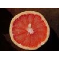 POMELO